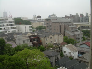 Tokyo Rooftops